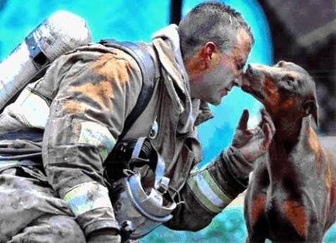 Dog licking face of dirty and tired fireman
